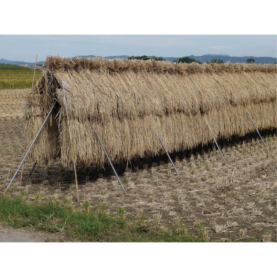 【送料無料】【法人限定】南栄工業 ほすべー3段 稲の掛け干用 5畝歩セット 稲干台 【メーカー直送・代引不可・置配不可・配送地域限定】