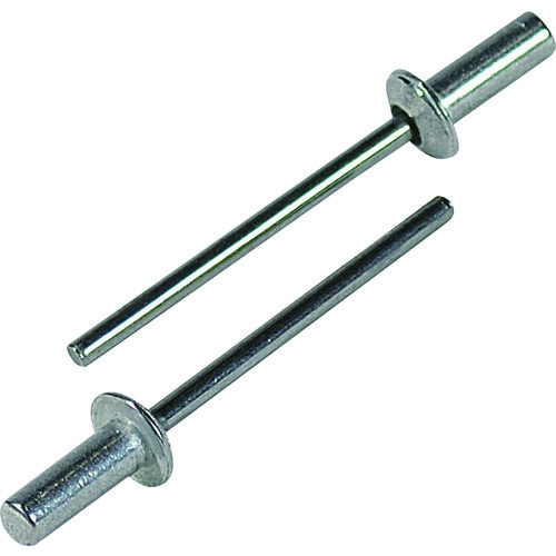 ロブテックス ブラインドリベット シールドタイプ アルミニウム/スティール製 6-4 30本入 エコパック NSA64CMP