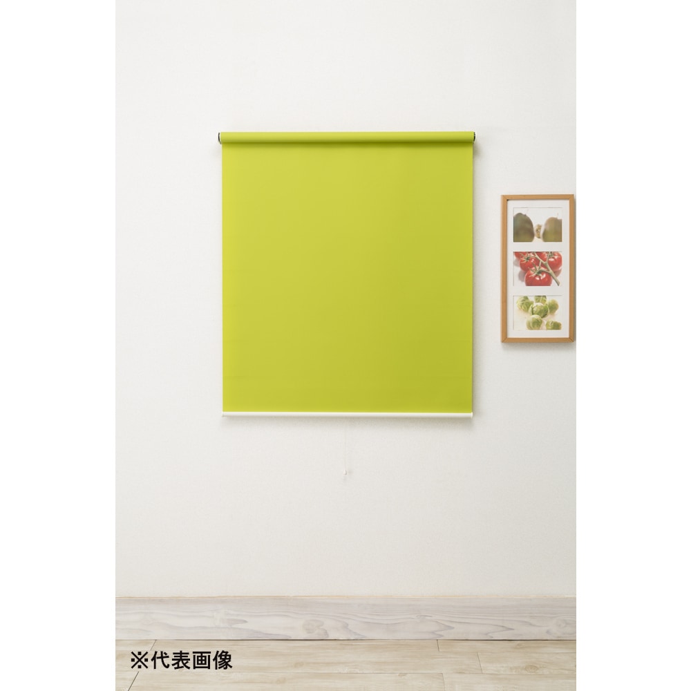 【送料無料】フルネス つっぱりロールスクリーン グリーン 180×180cm L3320 【メーカー直送・代引不可・置配不可・配送地域限定】