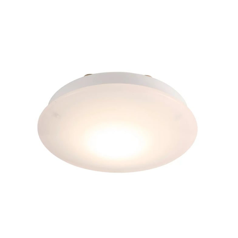 【送料無料】スワン電器 LED小型シーリングライト CE-1001