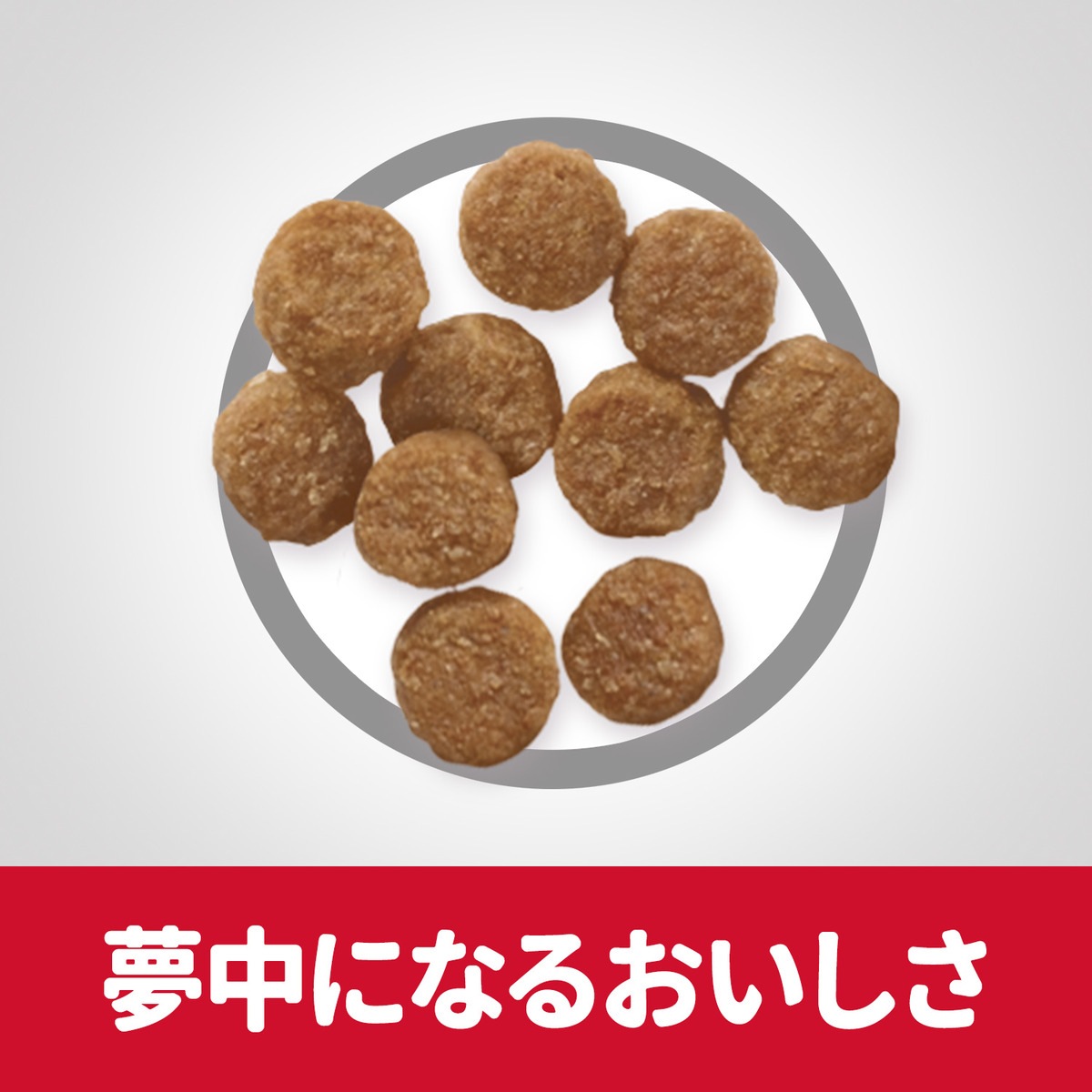 サイエンス・ダイエット 小型犬用 パピー 子いぬ用 1歳まで/妊娠・授乳期の母犬用 チキン 1.5kg