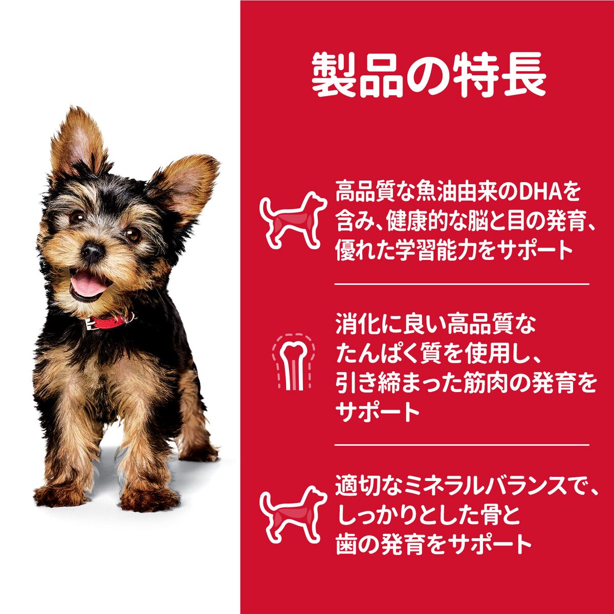 サイエンス・ダイエット 小型犬用 パピー 子いぬ用 1歳まで/妊娠・授乳期の母犬用 チキン 1.5kg