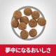サイエンス・ダイエット 小型犬用 パピー 子いぬ用 1歳まで/妊娠・授乳期の母犬用 チキン 1.5kg