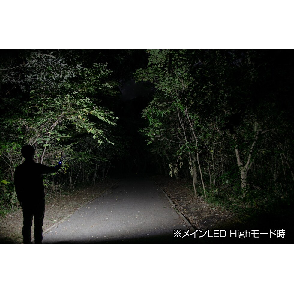 送料無料】【在庫限り】ジェントス LEDワークライト GANZ ガンツ GZ