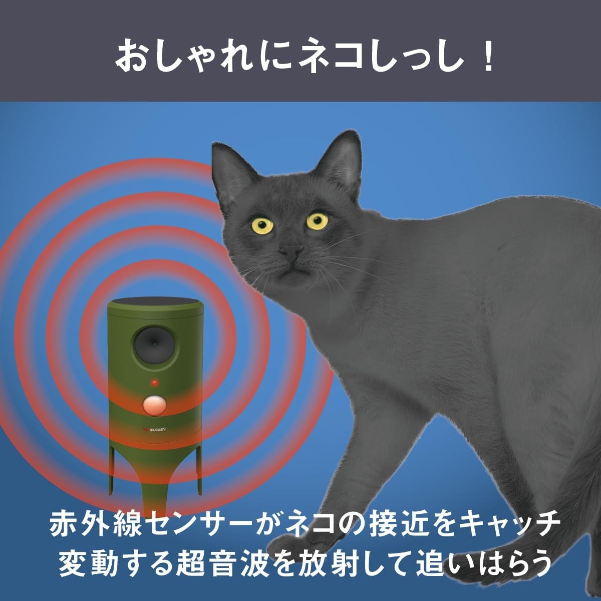 【送料無料】ムサシ ソーラー猫しっし REP-610