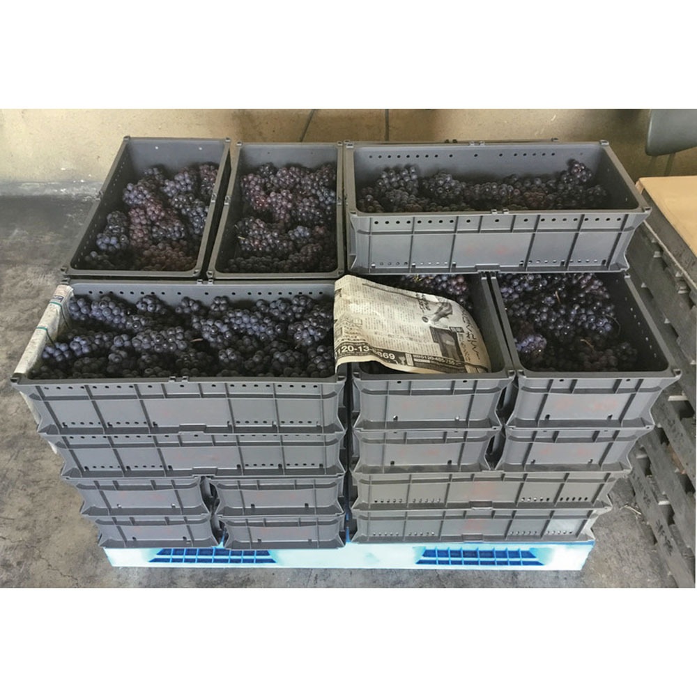 SNコンテナーC#26K ブルー／ライトブルー 【3個セット】 102452