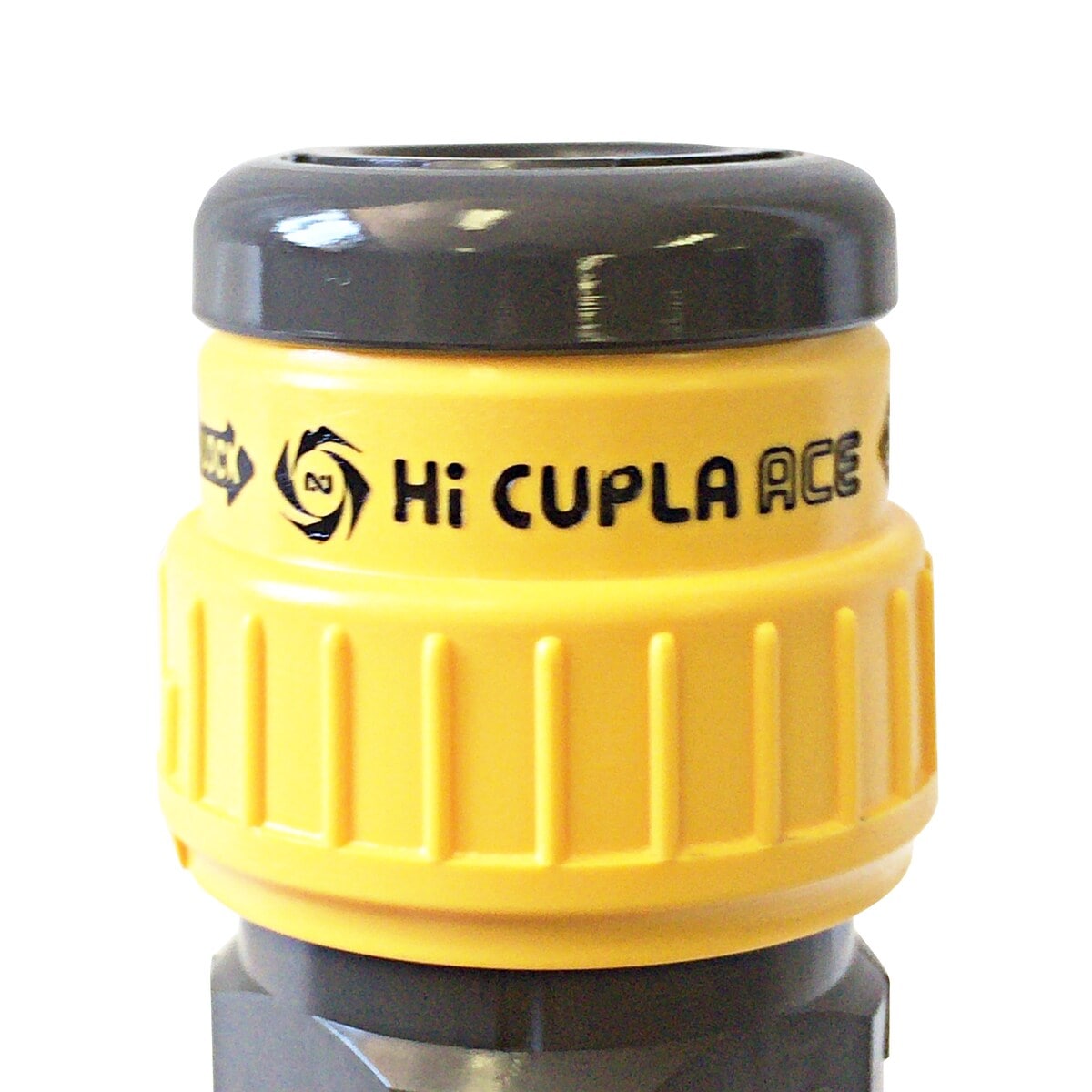 カズさん専用出品６ カズさん専用出品6 カズさん専用出品6 カズさん専用出品6 かす