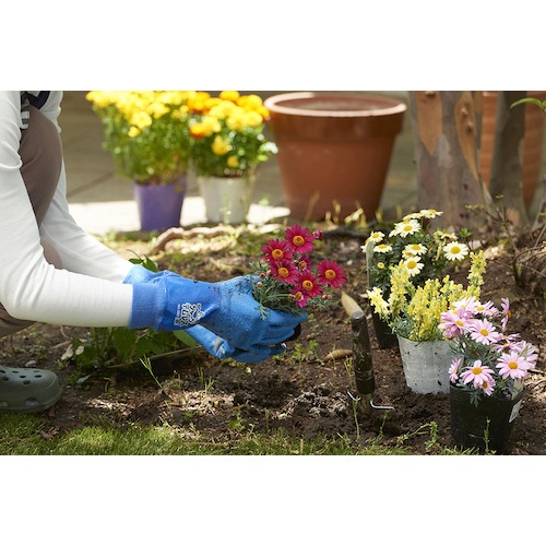 ショーワグローブ ジャージテムレス ブルー Lサイズ NO283R-L