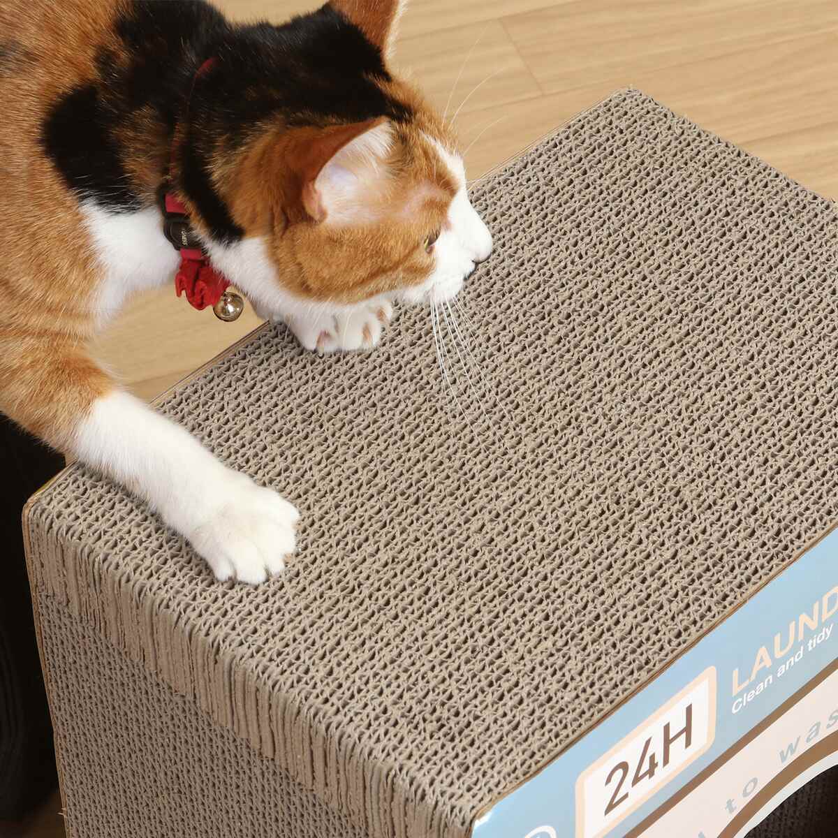 ねこ わちふぃーるど ダヤン パスケース シギショアラ 2面パスケース