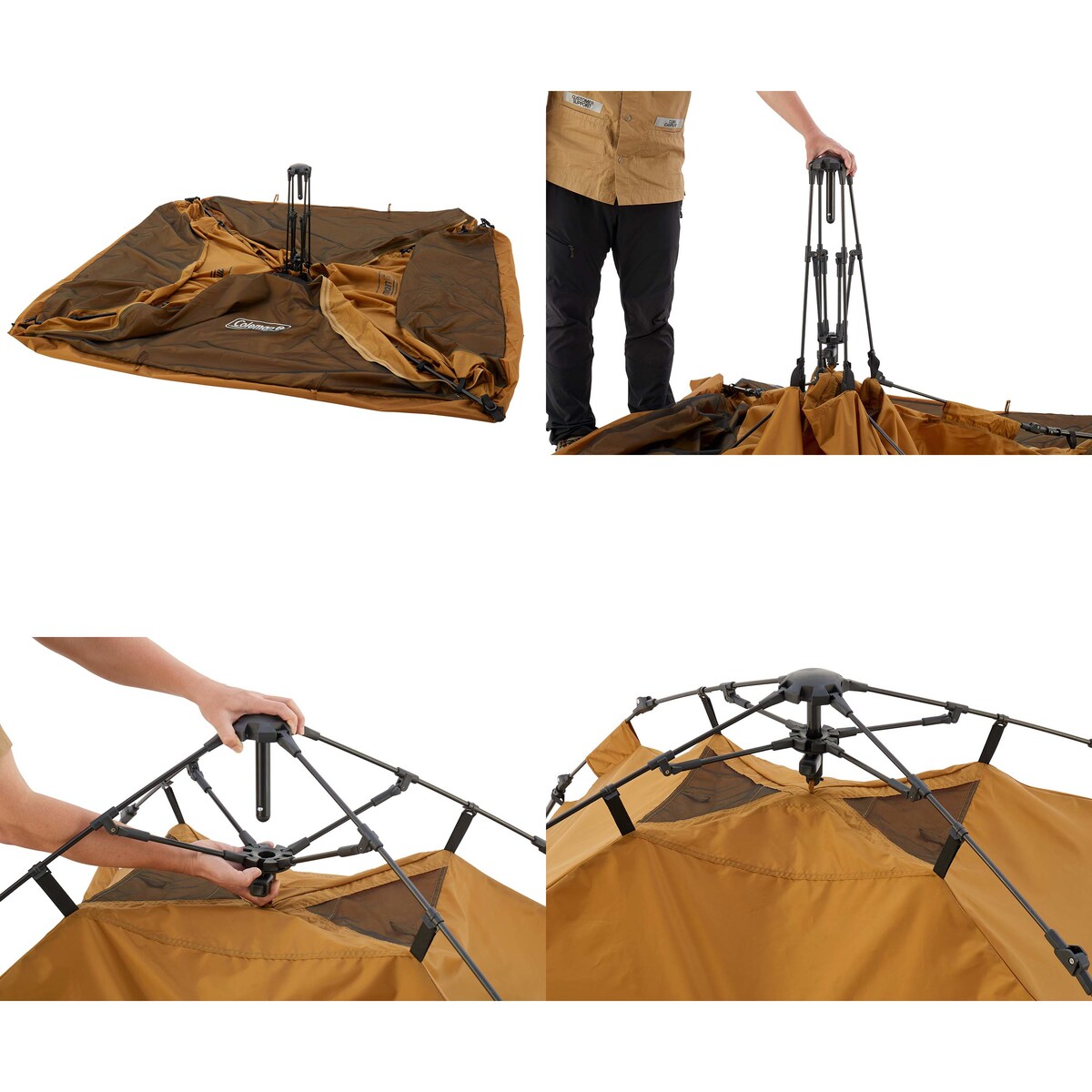 送料無料】コールマン インスタントアップドーム 240 2185719  