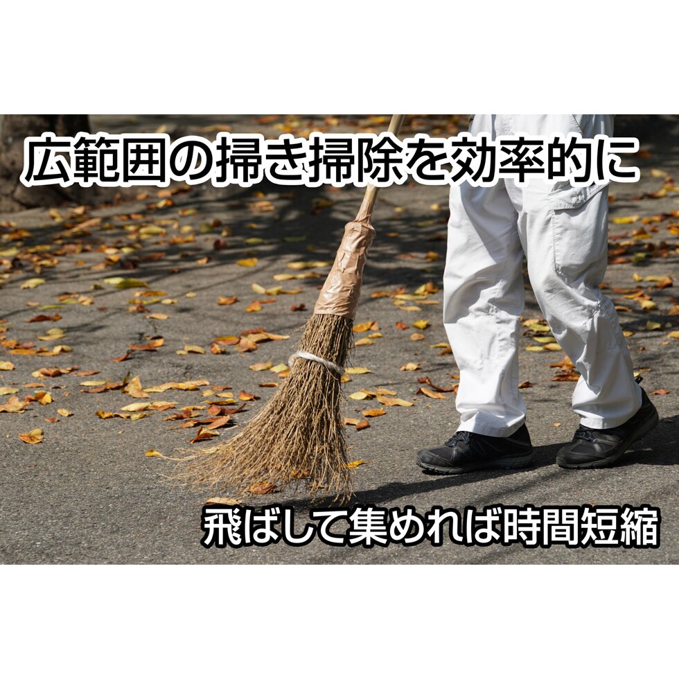 【送料無料】ジェントス コンパクトブロワー SGBW-01R