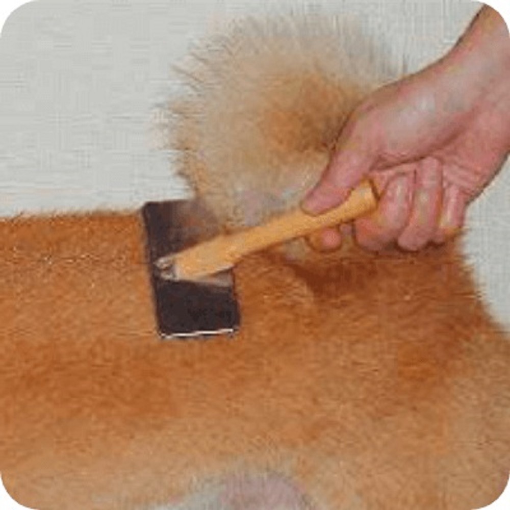 ライオン ペットキレイ ケトリーナ ベビーパウダーの香り 犬 猫用 0ml 犬 猫用品 アークランドオンライン