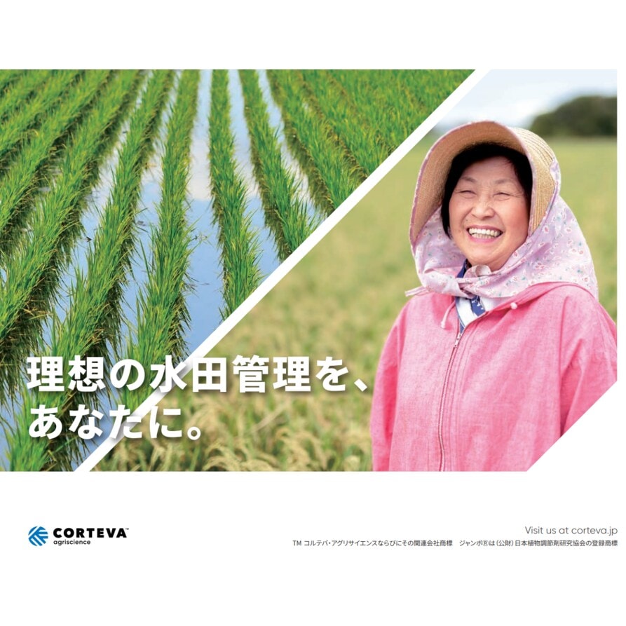 ケース販売】 水稲用除草剤 ウィードコアジャンボSD 200g×20袋セット