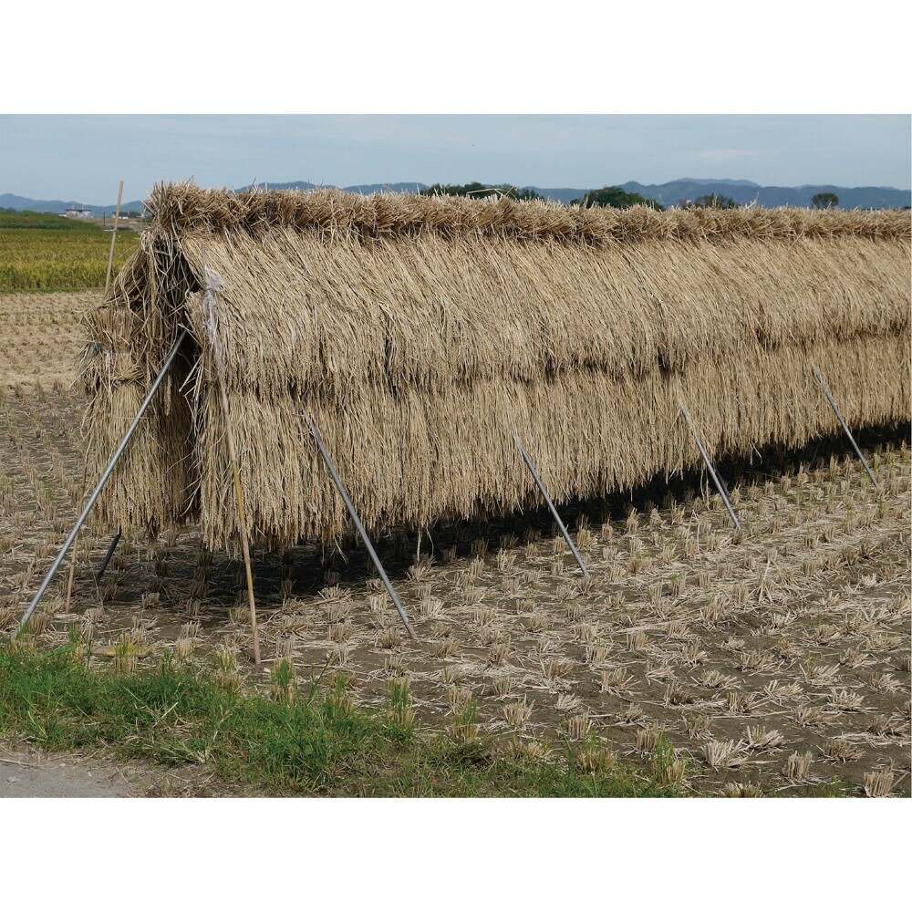 送料無料】【法人限定】南栄工業 ほすべー3段 稲の掛け干用 5畝歩