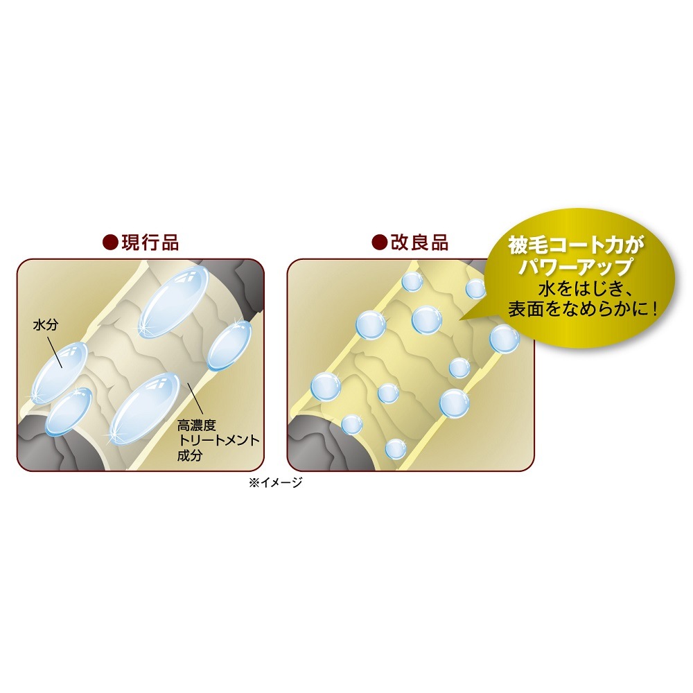 ライオン クイック＆リッチ トリートメントインシャンプー 愛猫用 ノン 