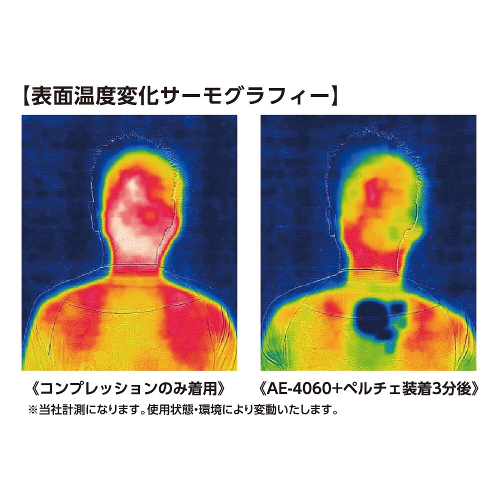 【送料無料】グラディエーター ボルトアイス ペルチェクーラーユニット ブラック GP-854
