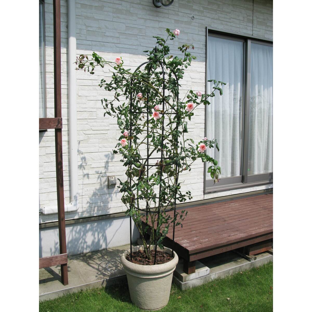 DAIM 第一ビニール スモールオベリスク 120cm 「6個まで1個口」 | 園芸