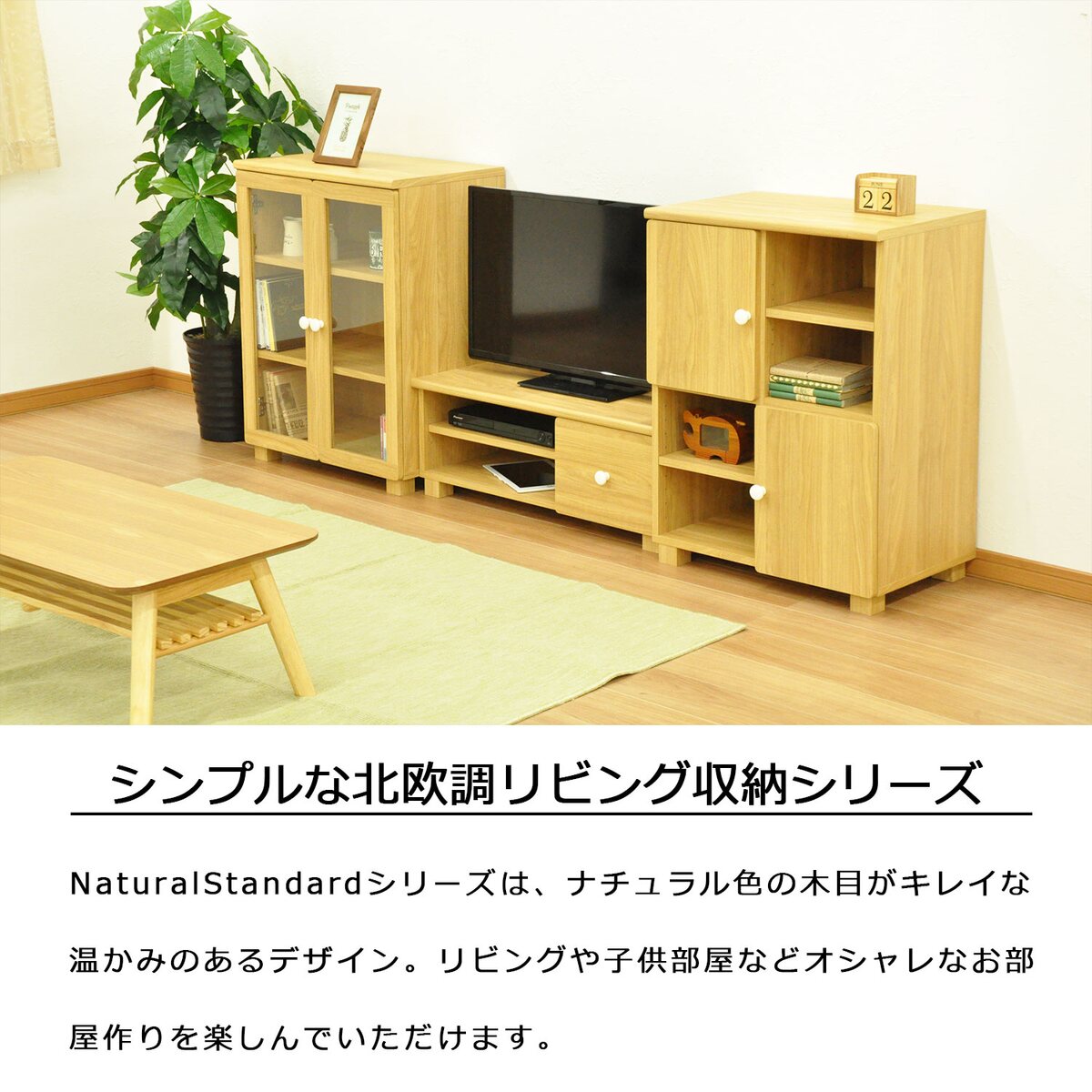 送料無料】エイ・アイ・エス ナチュラルスタンダード AVボード GTNS-04