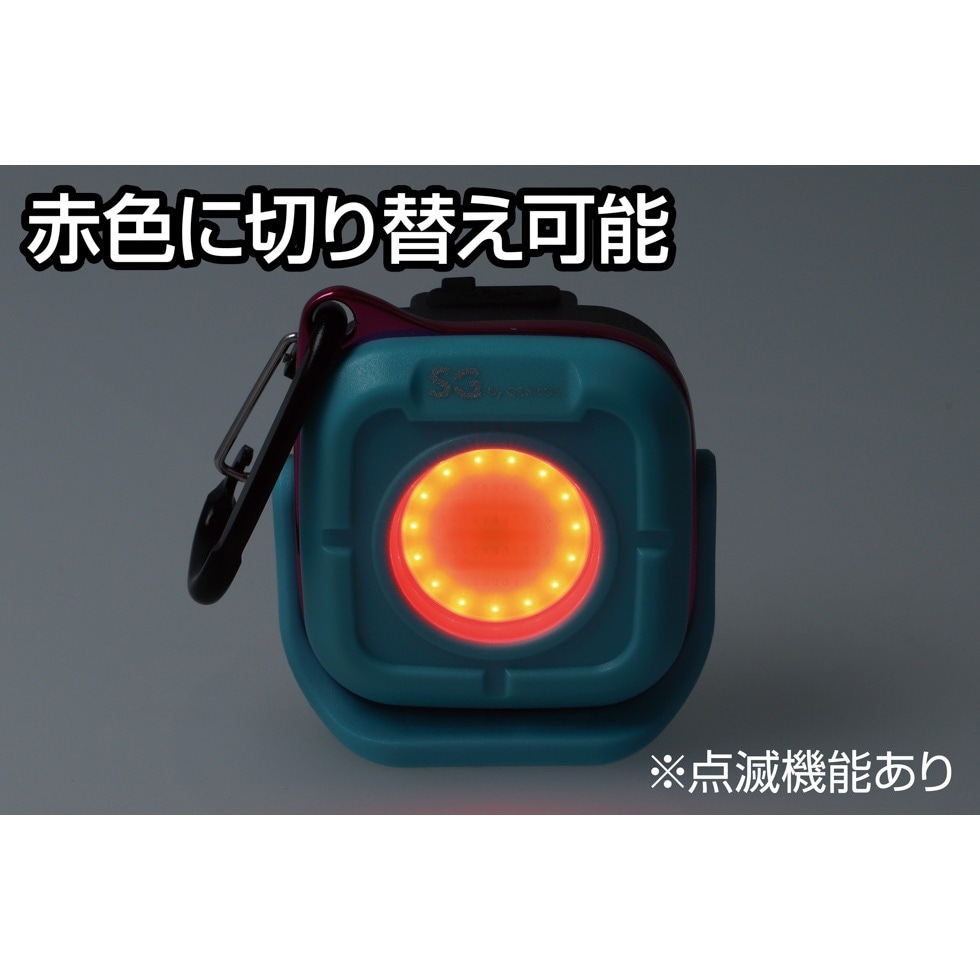 Switch ライト　3soji GenkINGさん専用 Switch ライト 3soji GenkINGさん専用 Switch ライト 3soji