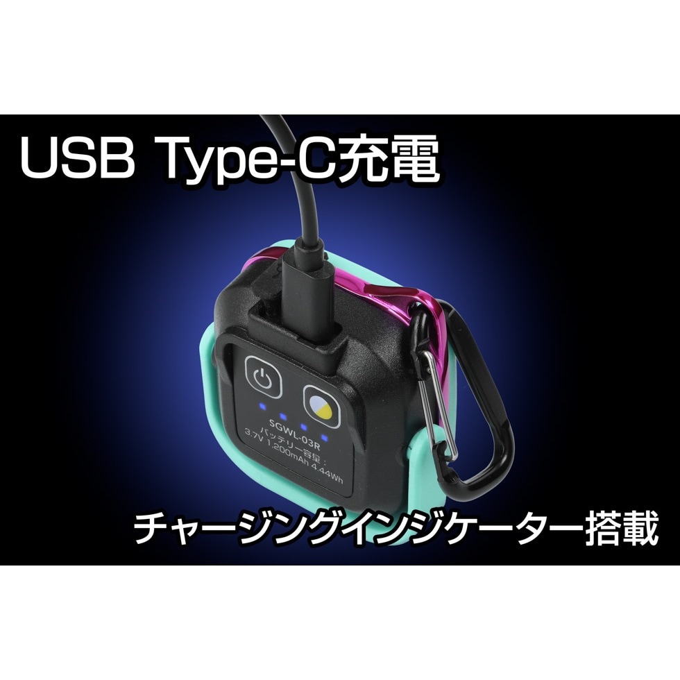Switch ライト　3soji GenkINGさん専用 Switch ライト 3soji GenkINGさん専用 Switch ライト 3soji