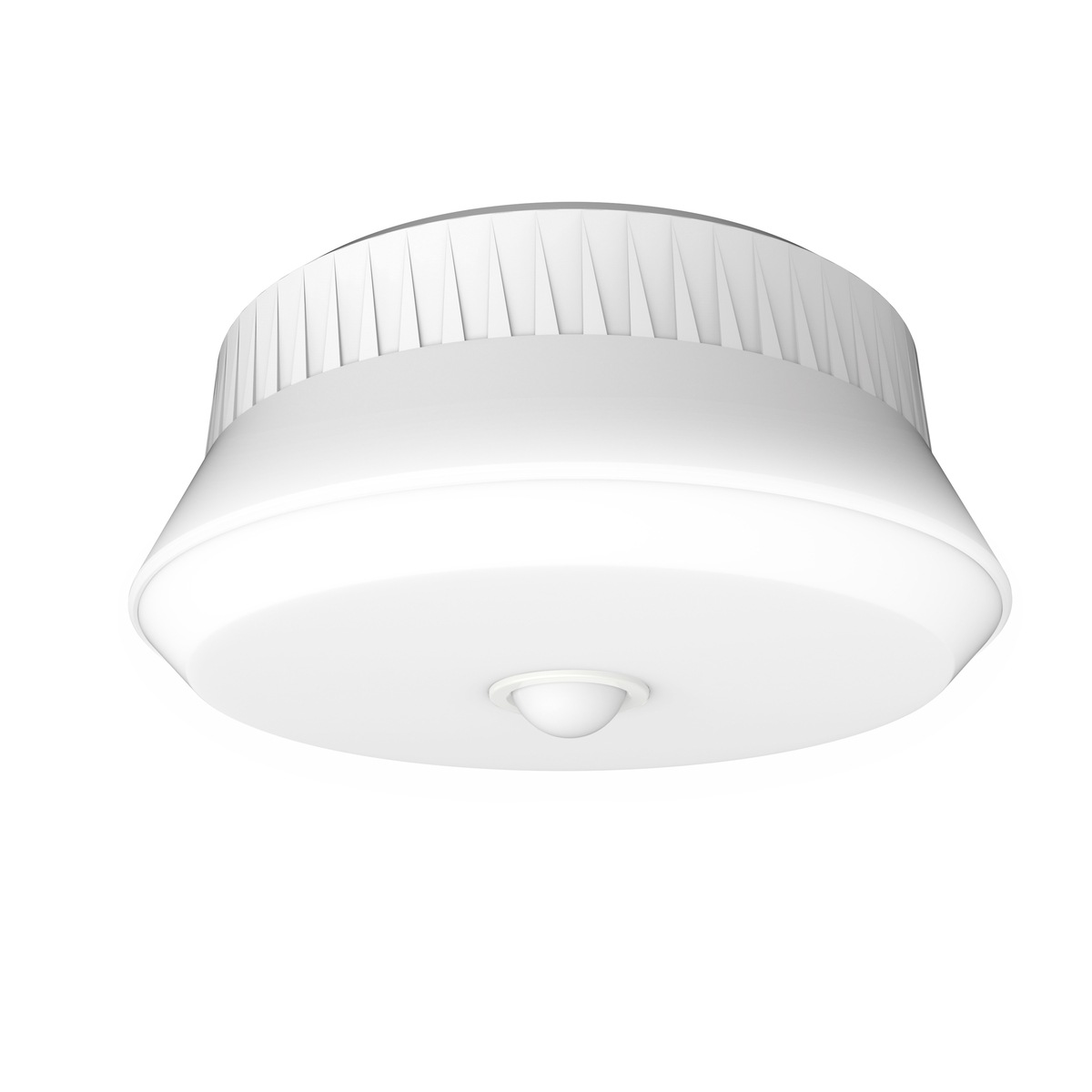 【送料無料】ライテックス 屋外用センサーシーリングライト LED 乾電池式 リモコン付 LED-165