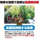 【送料無料】プラスリブ 忌避剤 撃退アライグマ 10個入 忌避剤 害獣対策 防獣