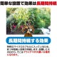 【送料無料】プラスリブ 忌避剤 撃退アライグマ 30個入 忌避剤 害獣対策 防獣