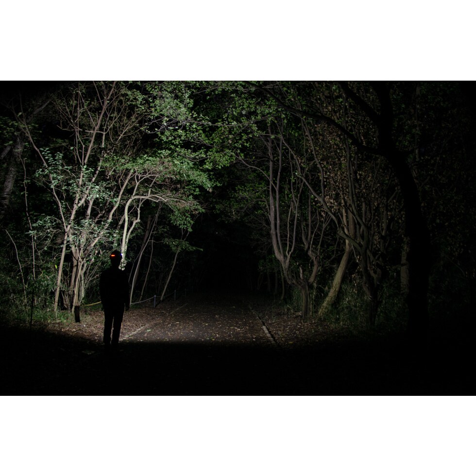 【送料無料】ジェントス Gシリーズ LEDヘッドライト GH-280RG