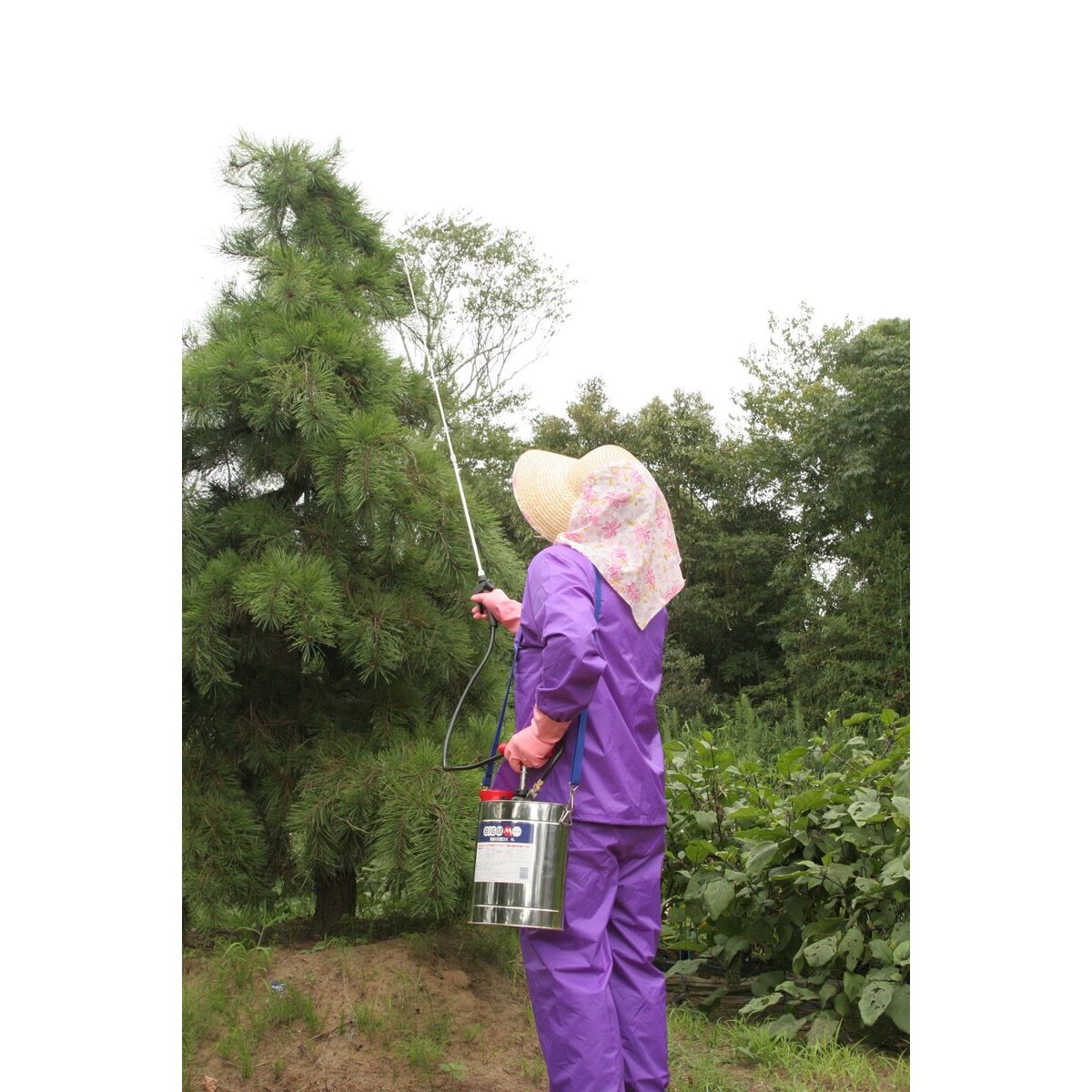 送料無料】BIGMマルヤマ ステンレス製噴霧器 5L 伸縮ノズル付 肩掛式