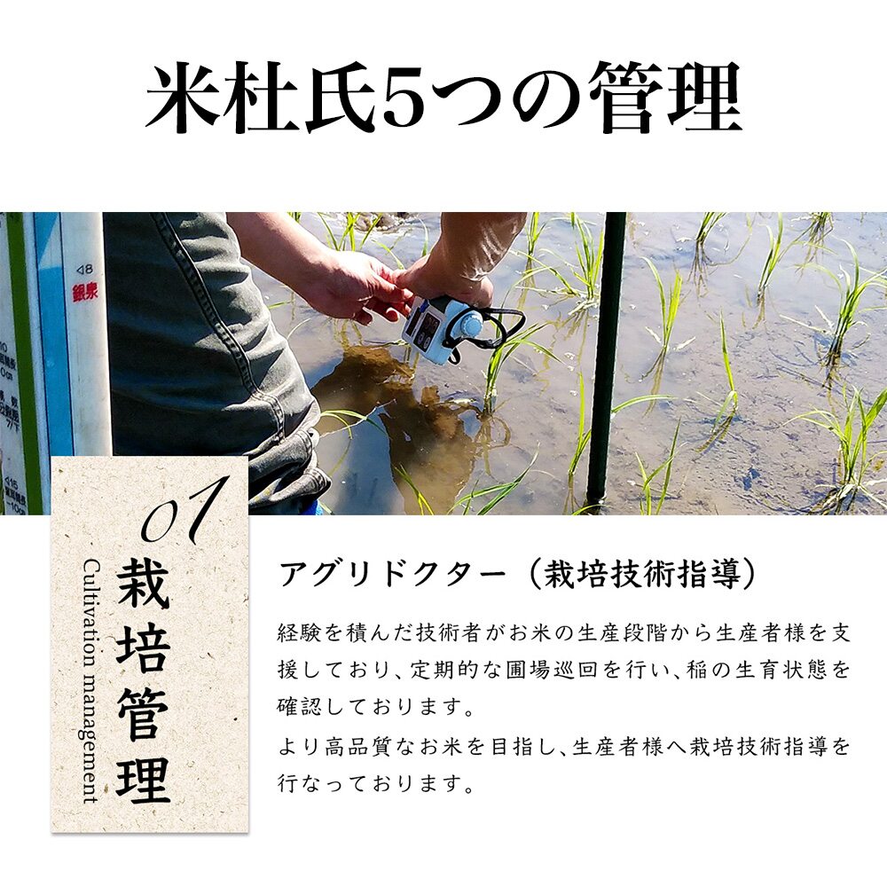 新潟米 米杜氏 新潟県 佐渡産こしひかり 産地指定米 2kg 佐渡産