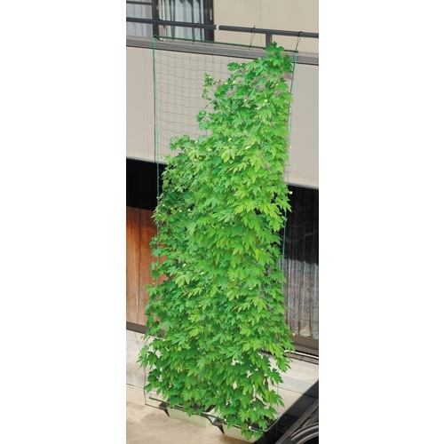 DAIM 第一ビニール 緑のカーテン 5m吊下げ W1800×H5000mm グリーン