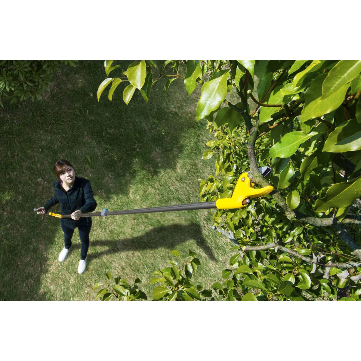 送料無料】ムサシ 高枝採収鋏 すご腕プッシュカット 2段式アンビル刃