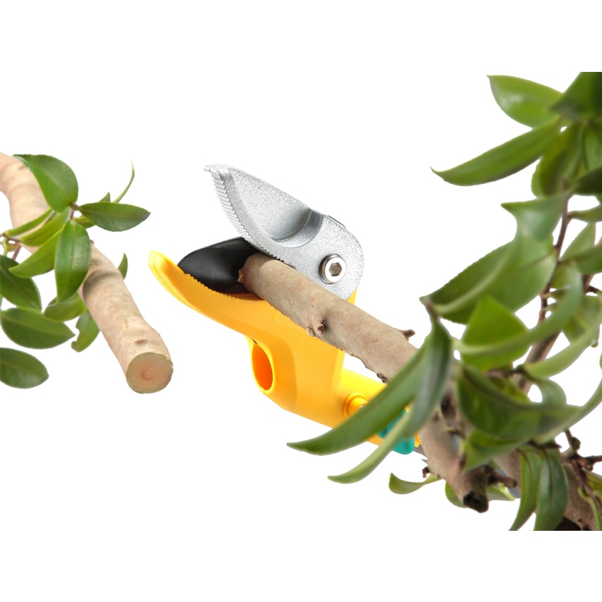 送料無料】ムサシ 高枝採収鋏 すご腕プッシュカット 2段式アンビル刃