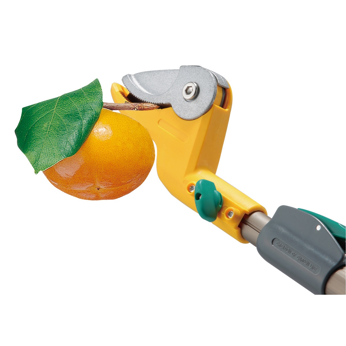 ★美品★入手困難★角芯★本ハギ★ムサシ★acsspro★バンブー★ラジアル★ 送料無料】ムサシ 高枝採収鋏 すご腕プッシュカット 2段式アンビル刃