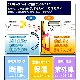 【送料無料】採光性裏地付レースカーテン 巾100x丈198cm ホワイト 2枚入 106120 【メーカー直送・代引不可・置配不可】
