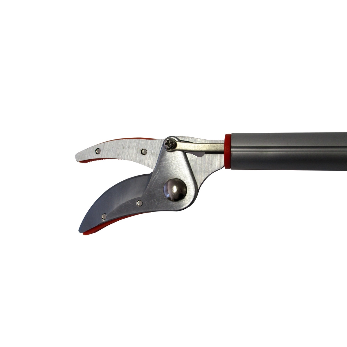 送料無料】CLUB.J 軽量伸縮式高枝切鋏 標準刃 キャッチ付 CJ-1901OR