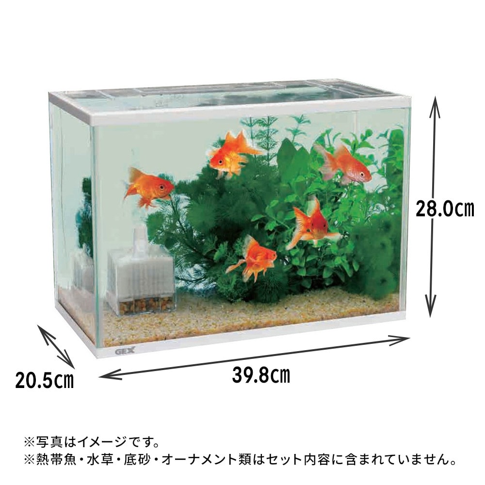 メーカーさん在庫処分水槽 メーカーさん在庫処分水槽です