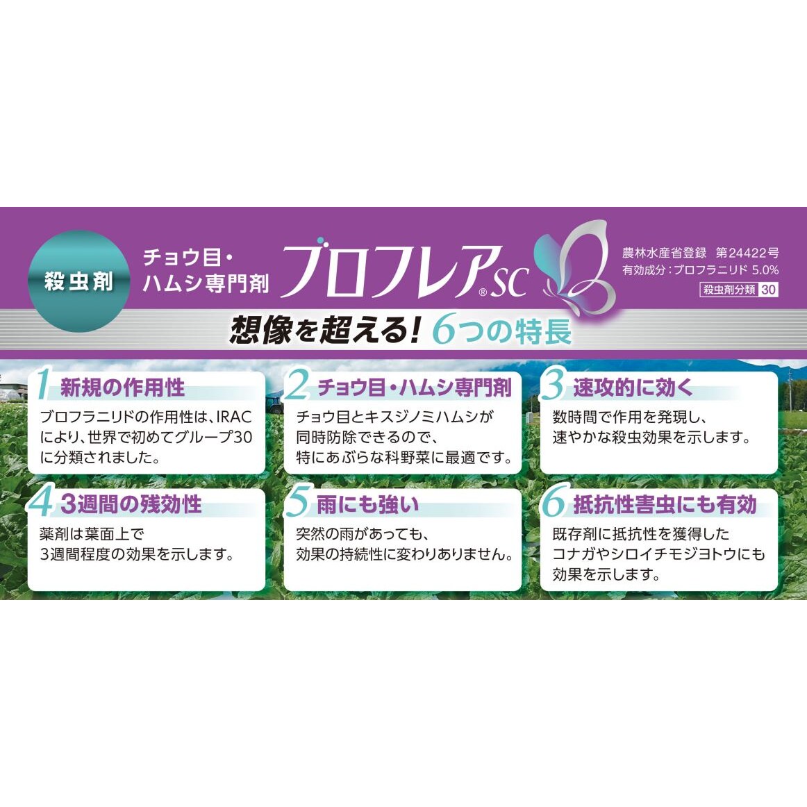 【送料無料】ブロフレアSC 500ml