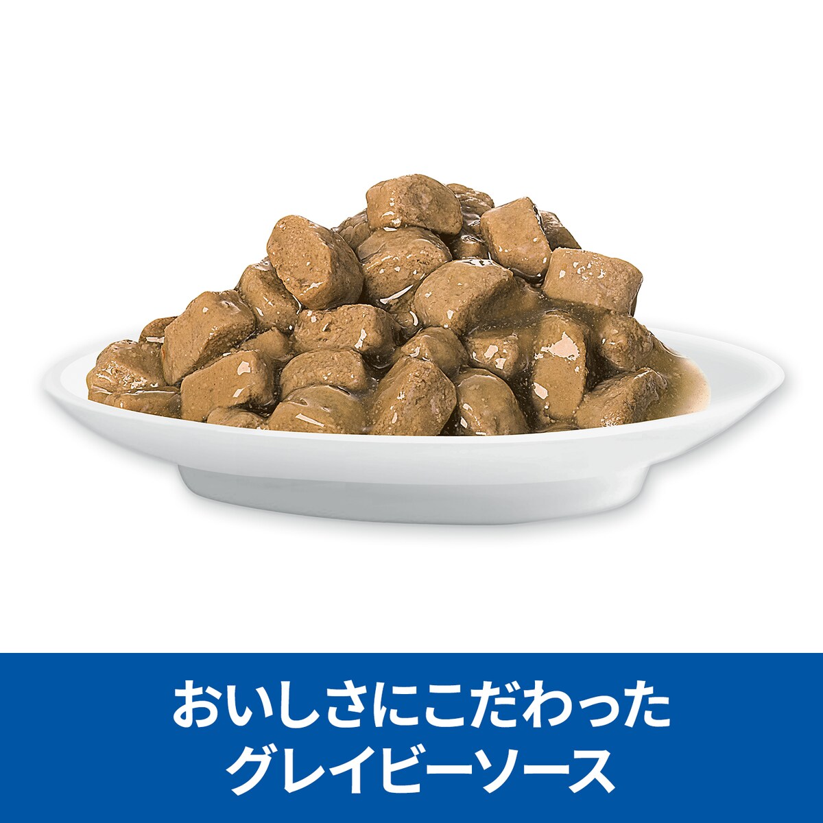 サイエンス・ダイエット 猫用 腸の健康サポートプラス チキン ウェットパウチ 85g