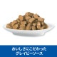 サイエンス・ダイエット 猫用 腸の健康サポートプラス チキン ウェットパウチ 85g