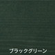 【送料無料】アトムハウスペイント ウッドエバープロテクト 水性屋外木部保護ステイン 3L ブラックグリーン