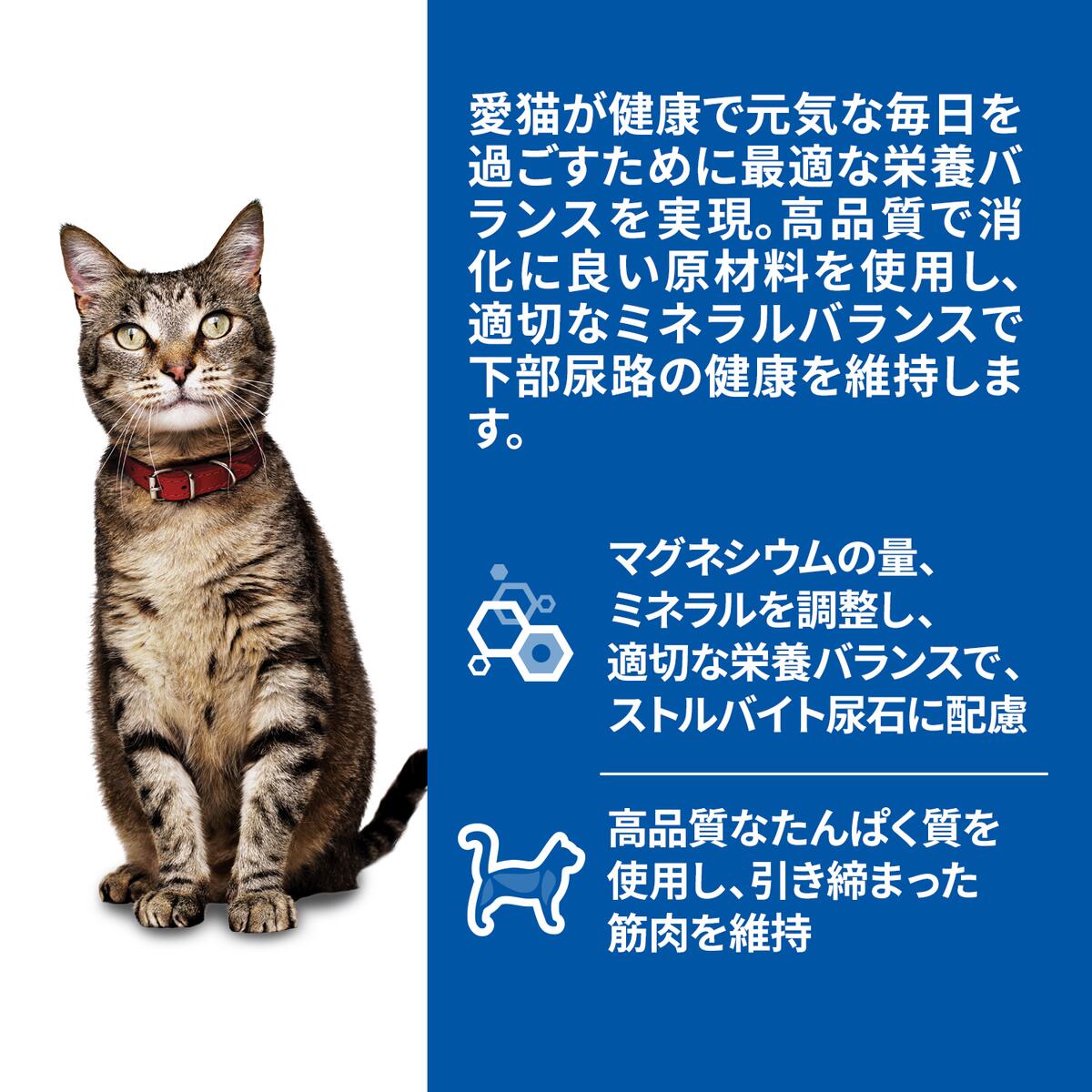 メーカー欠品中 次回6月中旬入荷予定です　サイエンス・ダイエット 猫用 アダルト 1～6歳 サーモン ウェットパウチ 85g