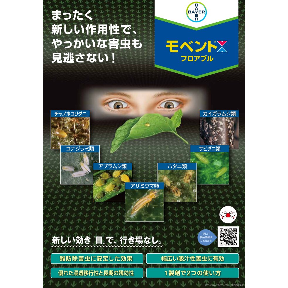 キラップフロアブル 500ml 殺虫剤 カメムシ駆除 害虫駆除 稲 米 苗 キラップフロアブル(500ml): 農薬