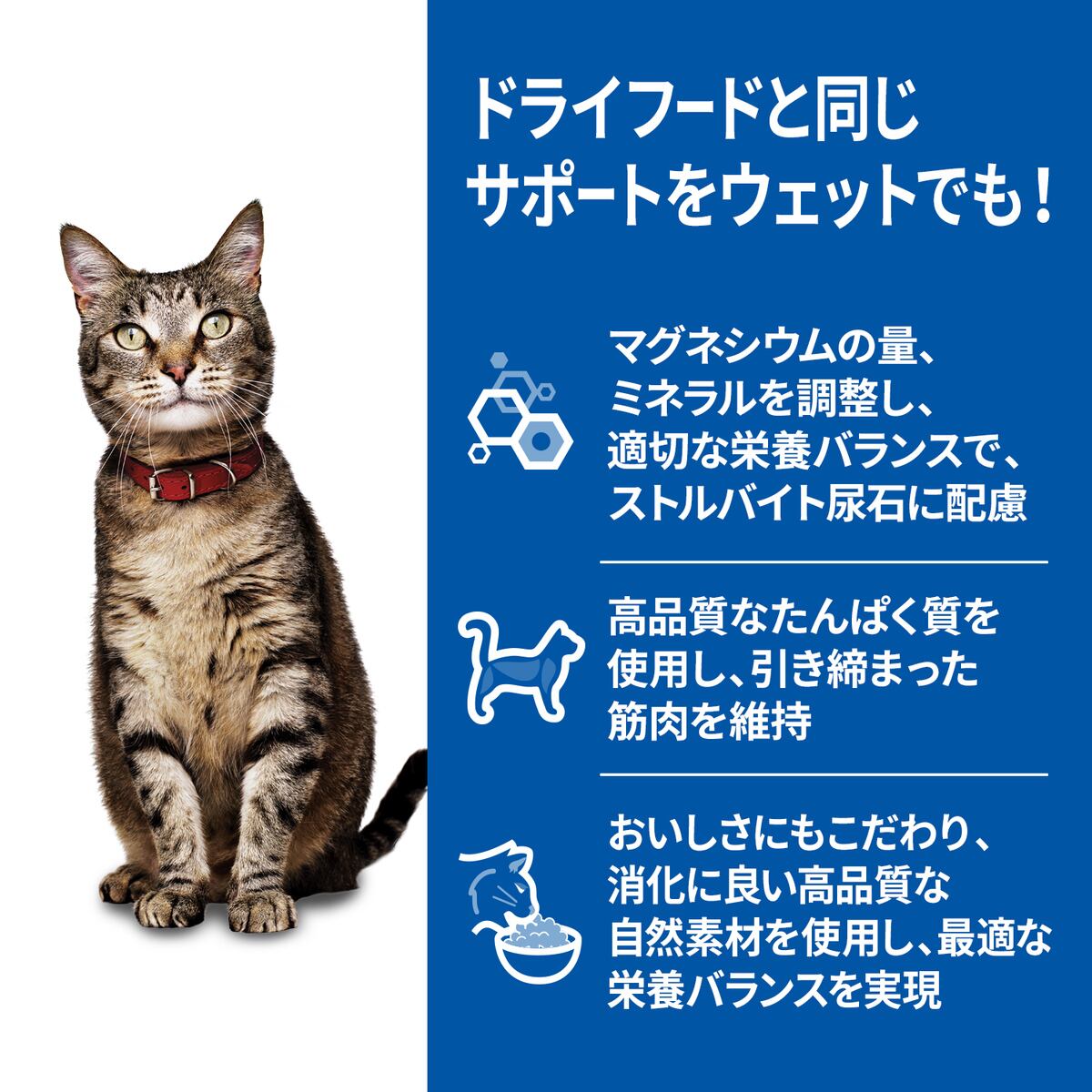 サイエンス・ダイエット 猫用 アダルト 1～6歳 チキン ウェットパウチ 85g