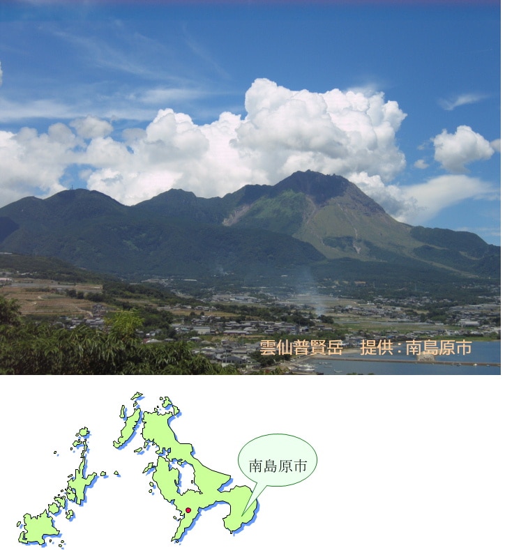 島原小町（しまばらこまち）