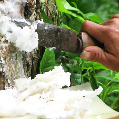 ܥ˥ 饯󥰥Хȡ130g