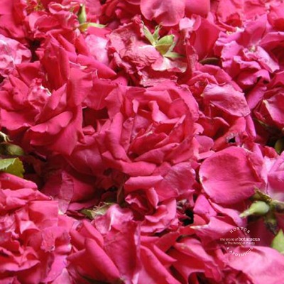 �ܥ��˥��� �������ȥ꡼�ȥ��ȥ��꡼���100g��