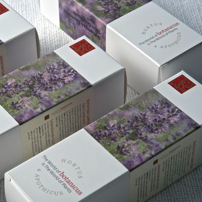 �ܥ��˥��� ��٥�����ȥ꡼�ȥ��ȥ��꡼���100g��