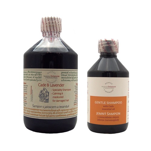 �ܥ��˥��� �Υ󥷥ꥳ�� �����ɥ����ס���250ml��