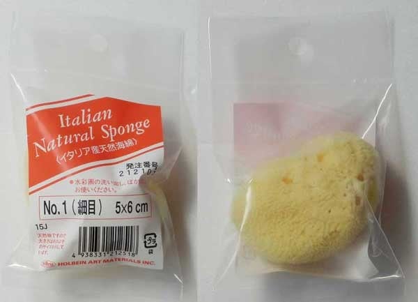 ホルベイン 天然海綿 No.1 細目 5×6cm 212101